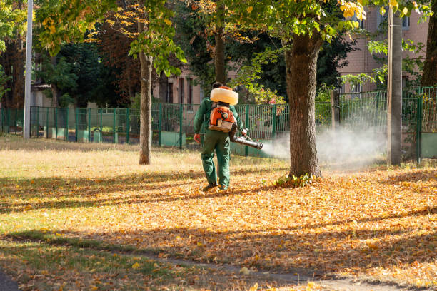 Best Mosquito Control Services  in Springfield, MO