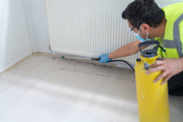 Best Affordable Pest Control Services  in Springfield, MO